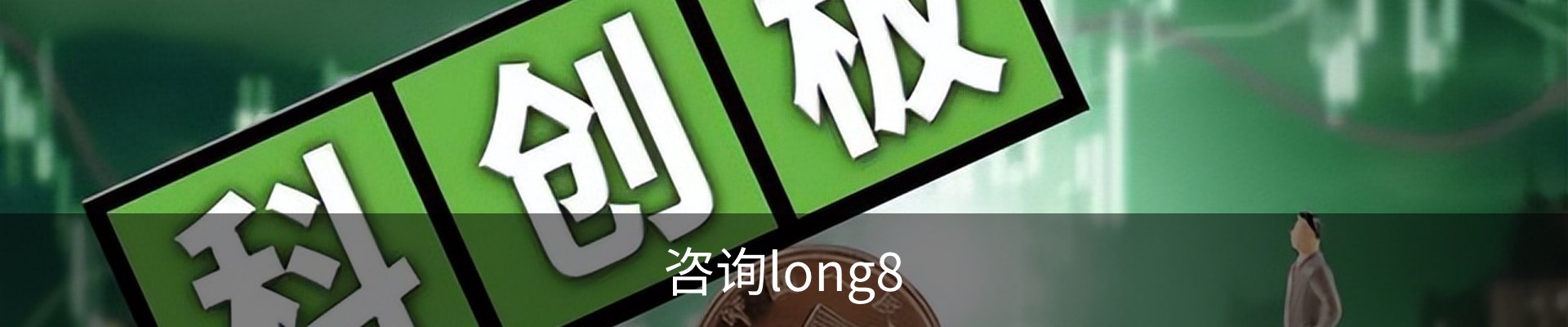 咨询long8